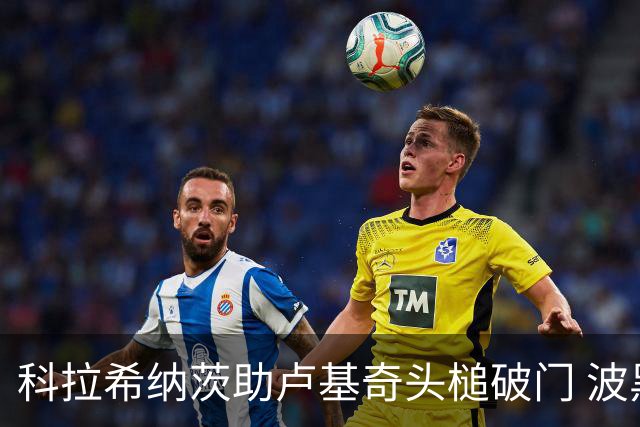科拉希纳茨助卢基奇头槌破门 波黑半场暂1-0加拿大